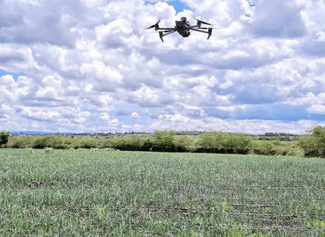 Drone Technology