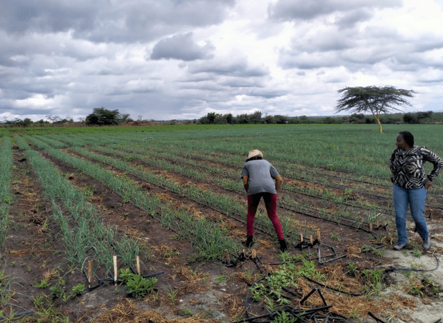 Women in Agriculture